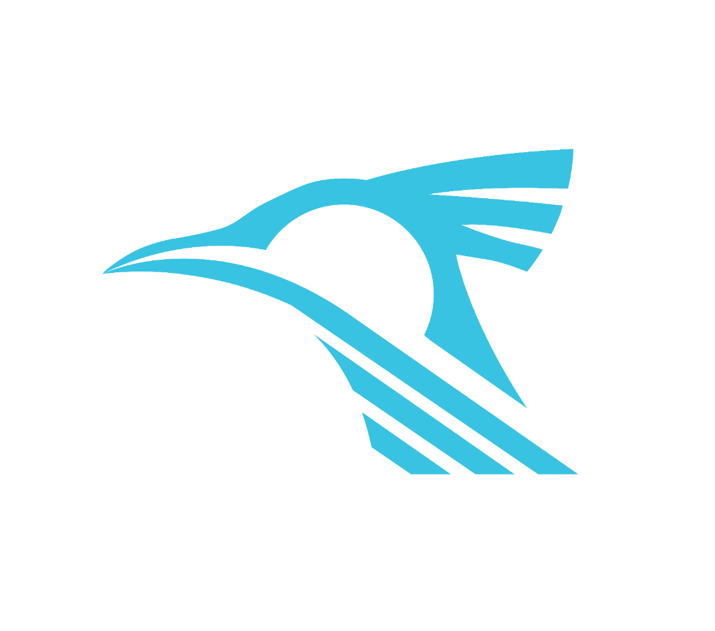 RoadRun Logo